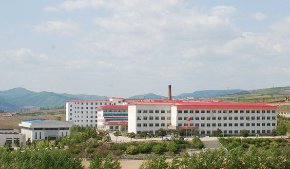 延吉国际合作技术学校 专业设置与重庆科技学校的对比分析